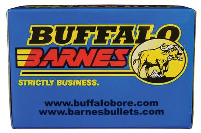 38SPC LEAD FREE SHORT BBL 110GR TAC-XP