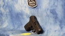 USED RUGER SECURITY-9 9MM
