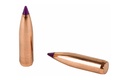 Nosler 6mm 95gr Ballistic Tip 50ct