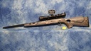 USED SAVAGE ARMS A22 WITH BUSHNELL 22 LR