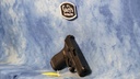 USED GLOCK G45 9MM BLACK NIGHT SIGHTS