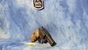 USED TAURUS MODEL 605 357 MAGNUM 3" BBL 