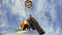 USED TAYLORS & COMPANY MODEL 1873 "GAMBLER" 45 LC 4.75" BBL 