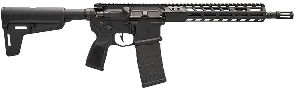 SIG SAUER PM400SDI11BBLK M400 SDI 5.56 NATO 30+1 11.50 (2)