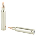 Fed Prm 223rem 55gr Blstc Tip 20/200