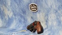 USED SMITH & WESSON 38 SPC 442UC BLACK