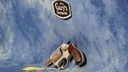 USED SMITH & WESSON MODEL 637 38 SPECIAL