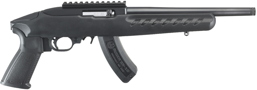RUGER 22-CHARGER 22 LR 4923