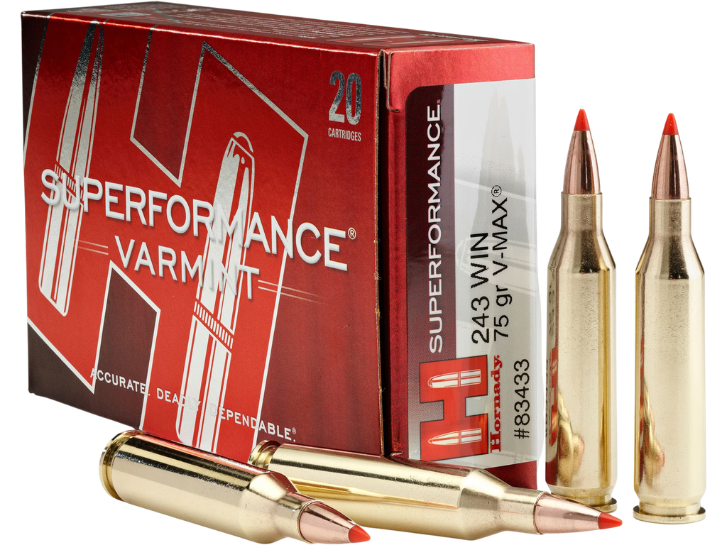 HORNADY 80411 SUPERFORMANCE 243 WSSM 75 GRAIN V-MAX 20 RNDS
