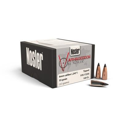 NOSLER 17250 VARMAGEDDON 6MM 55 GRAIN TIPPED 100 CNT