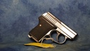 USED L.W.SEECAMP CO LWS 380 ACP 